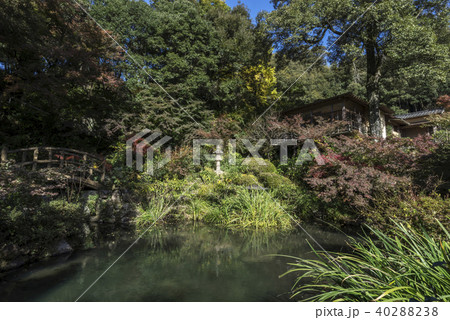日輪寺 40288238