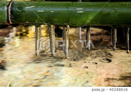 貴船神社　手洗い水のつらら 40288616
