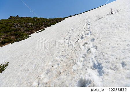 峰の辻から安達太良山へ向かう雪の上のトレース 峰の辻から安達太良山へ向かう雪の上のトレース 40288636