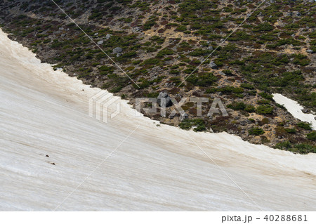 峰の辻へ向かう登山道 40288681