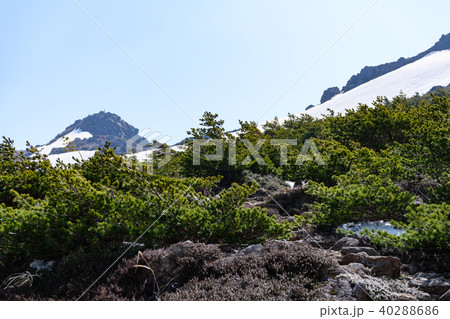 安達太良山から峰の辻へ向かう登山道から振り返って見た安達太良山の山頂 安達太良山から峰の辻へ向かう登山道から振り返って見た安達太良山の山頂 40288686