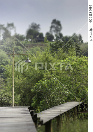 Wooden walkway to tropical garden 40288994