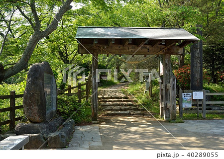 勿来関風景 40289055