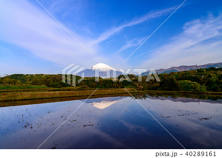 棚田と富士山 40289161