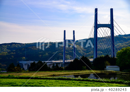 棚田と東名高速道路の高架橋 40289243