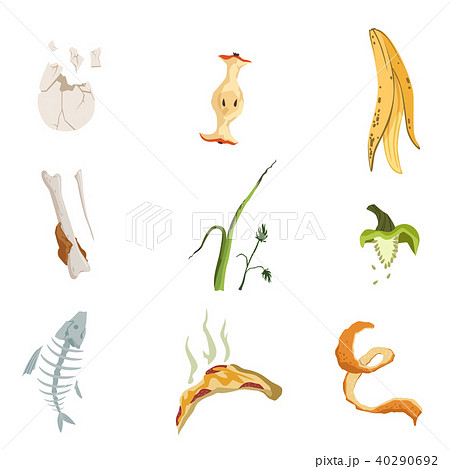 Organic garbage peel of fruits, eggshell, apple stub, spoiled slice of pizza. Leftovers of food 40290692