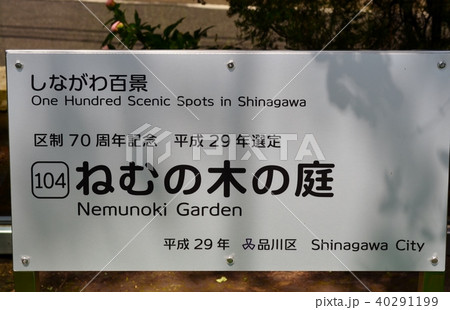 ねむの木の庭 40291199