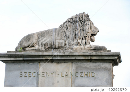 The famous Chain Bridge across the Danube. Lion statue. 40292370