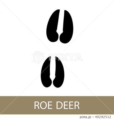 Trace Of A Roe Deer Animalのイラスト素材