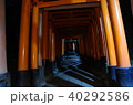 千本鳥居 40292586