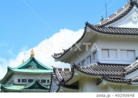 名古屋市　新緑の名古屋城 40293648