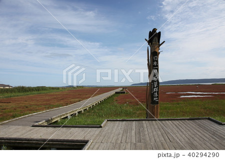サンゴ草_卯原内 40294290