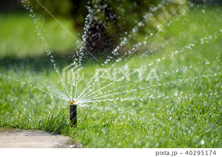 Sprinkler in action watering grass Sprinkler in action watering grass 40295174
