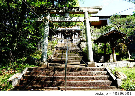 足利　つつじ山 40296601