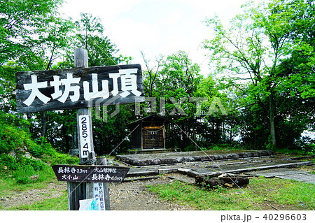 足利 つつじ山 足利 つつじ山 40296603