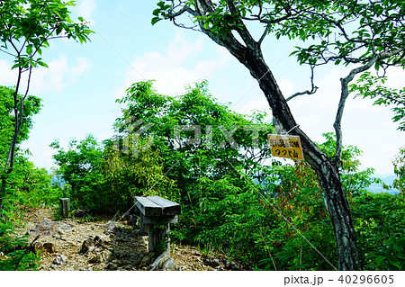 足利　つつじ山 40296605