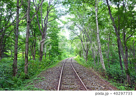 トロッコ王国美深 トロッコ王国美深 40297735