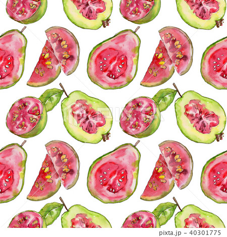 Exotic guava wild fruit in a watercolor style pattern. Exotic guava wild fruit in a watercolor style pattern. 40301775