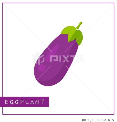 Isolated violet eggplant memory training card Isolated violet eggplant memory training card 40301815