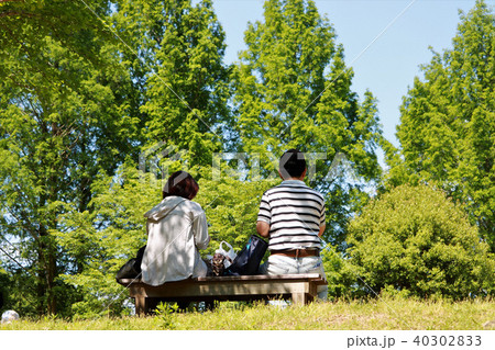 新緑の公園 40302833