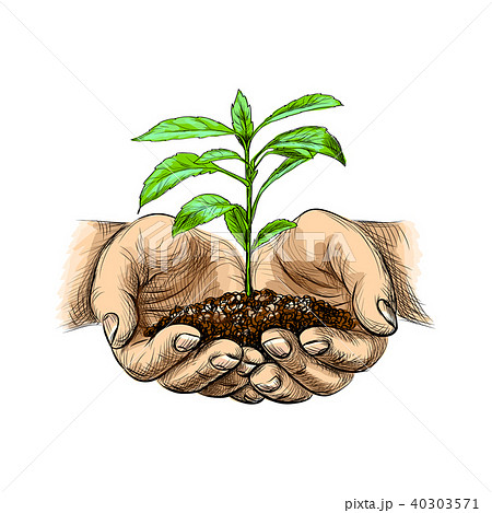 Young Plant With Ground In Handsのイラスト素材