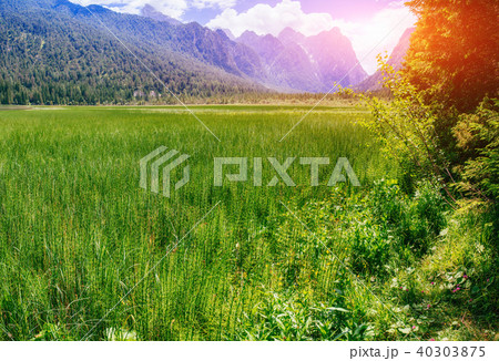 Rocky Mountains at sunset. Dolomite Alps Italy 40303875