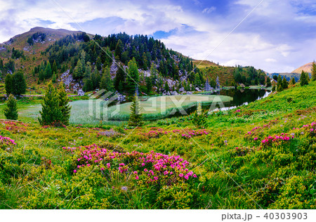 Glade with flowers near the water in the mountains 40303903