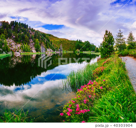 Glade with flowers near the water in the mountains 40303904