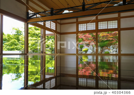 床に映る新緑４ 40304366