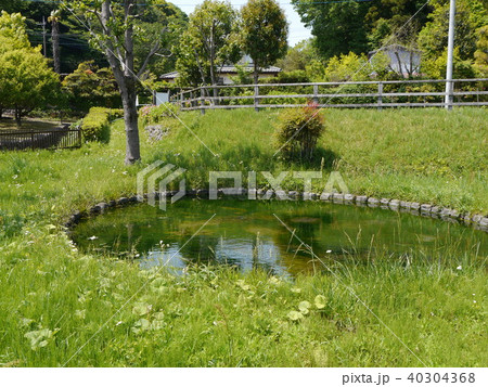 鶴見川源流 鶴見川源流 40304368