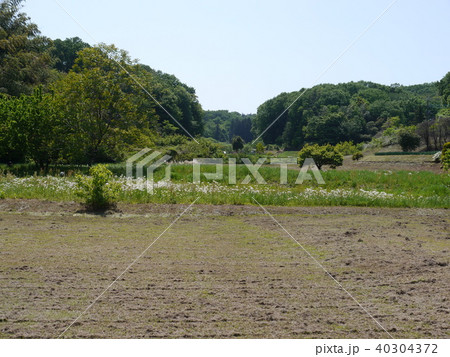 鶴見川源流近くの谷戸 40304372