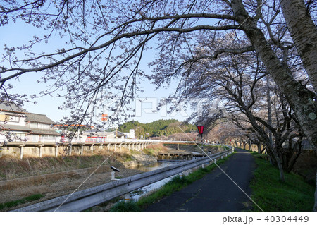 水分桜 奈良県宇陀市菟田野古市場 水分桜 奈良県宇陀市菟田野古市場 40304449