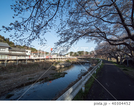 水分桜 奈良県宇陀市菟田野古市場 水分桜 奈良県宇陀市菟田野古市場 40304452
