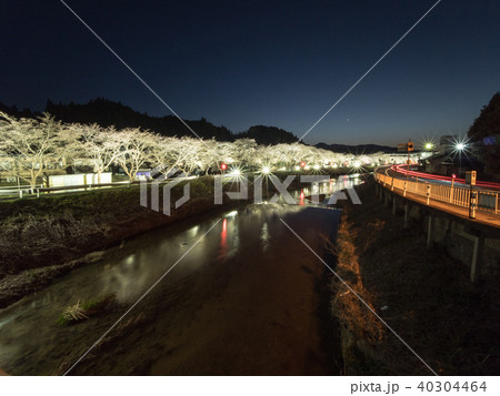 水分桜 奈良県宇陀市菟田野古市場 水分桜 奈良県宇陀市菟田野古市場 40304464