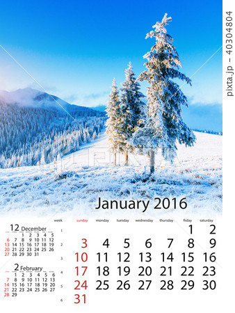 Calendar January 2016 - winter landscape trees in frost 40304804