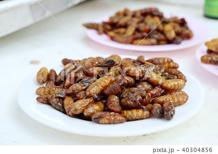 Fried Insect at street food 40304856