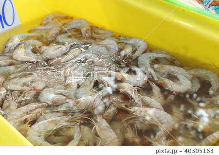 Fresh shrimp in market 40305163
