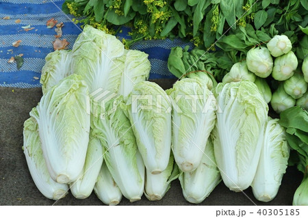 Chinese cabbage at market 40305185