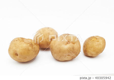 Potato varieties Kuras. Potatoes isolated on white background Potato varieties Kuras. Potatoes isolated on white background 40305942
