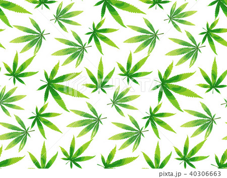 Marijuana leaves seamless vector pattern. 40306663