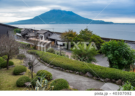 鹿児島　秋の仙巌園から見る桜島 40307092