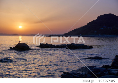 千葉県 坂田海岸 館山湾の朝日 千葉県 坂田海岸 館山湾の朝日 40307405