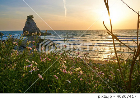 千葉県 法華崎 雀島の夕日 千葉県 法華崎 雀島の夕日 40307417