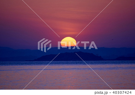千葉県 坂田海岸 館山湾の朝日 千葉県 坂田海岸 館山湾の朝日 40307424