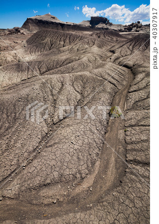 Geological formations in Ischigualasto 40307917