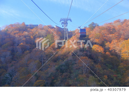 天神平駅付近の谷川岳ロープウェイを見る 40307979