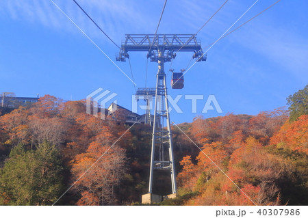 秋の天神平駅付近の谷川岳ロープウェイを見る 40307986