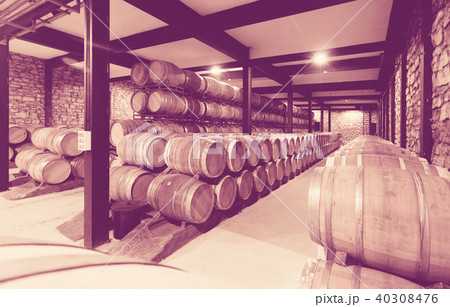wooden barrels in winery factory wooden barrels in winery factory 40308476