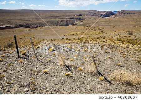 Views of landscape of Andes foothills 40308607