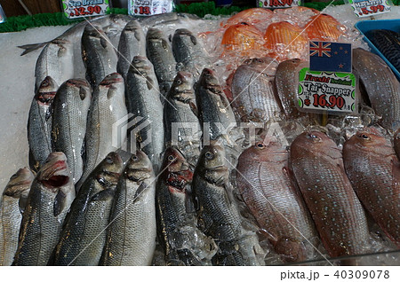 外国の市場の鮮魚　 40309078